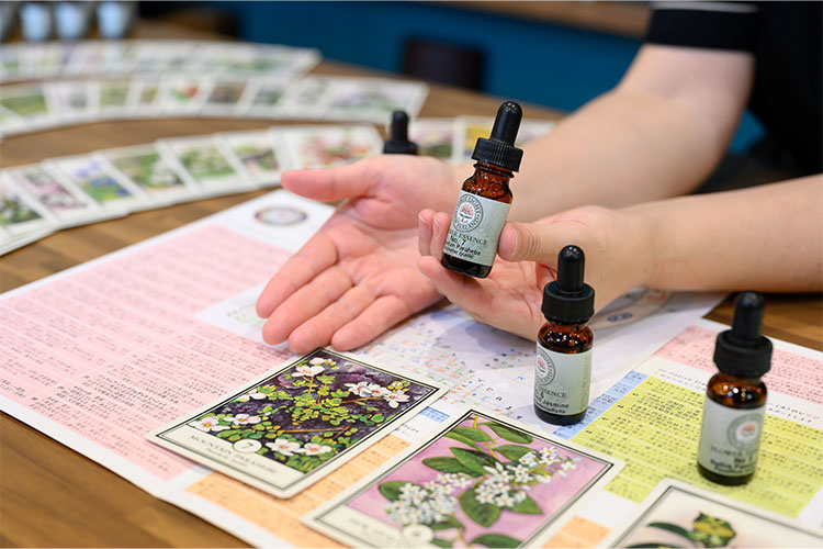 ファーストライトフラワーエッセンス